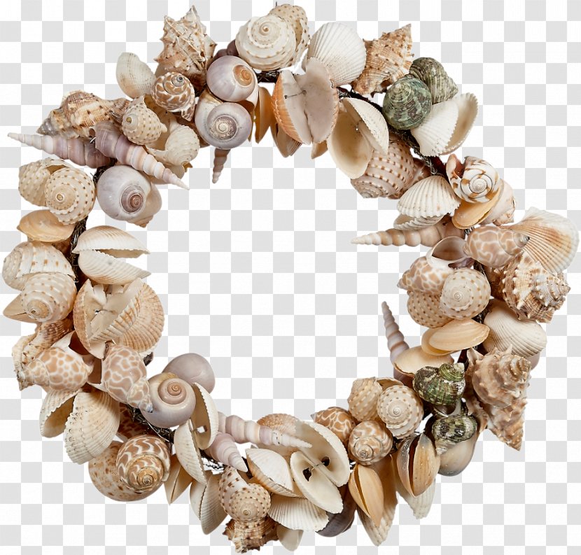 Christmas Decoration - Shell - Flower Necklace Transparent PNG