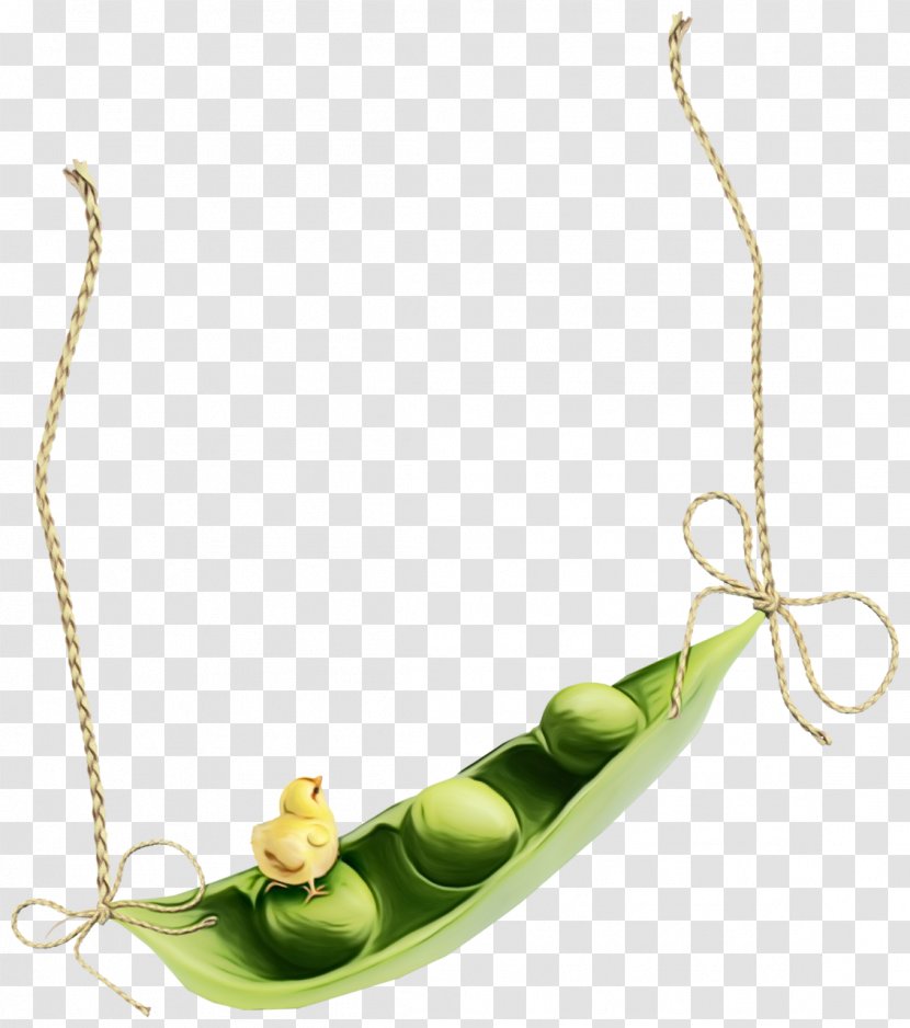 Jewellery Necklace - Plant Pendant Transparent PNG