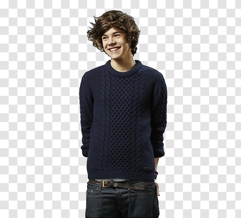 Harry Styles The X Factor One Direction Take Me Home Photo Shoot - Flower Transparent PNG