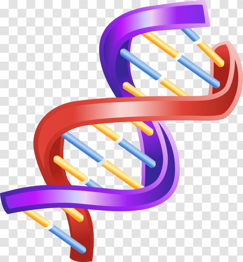 Nucleic Acid Double Helix The Helix: A Personal Account Of Discovery Structure DNA Clip Art - Stock Photography Transparent PNG