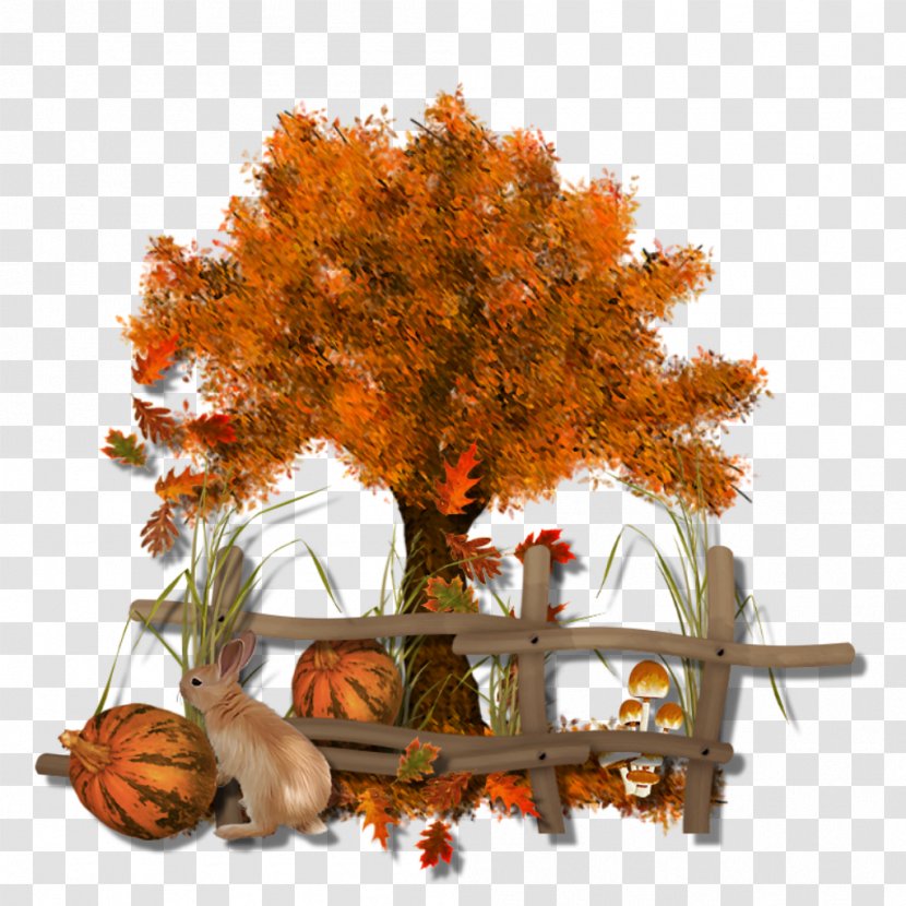 Autumn Drawing Clip Art - Tree Transparent PNG