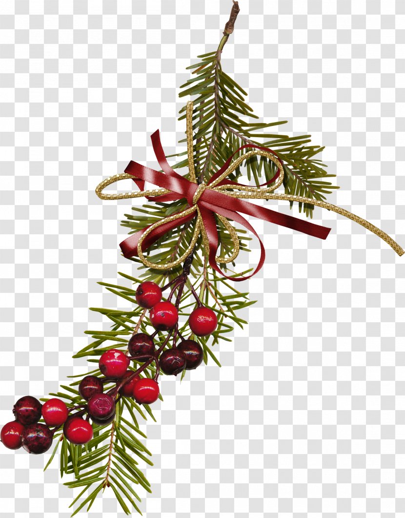 Christmas Decoration Ornament Tree - Branch Transparent PNG