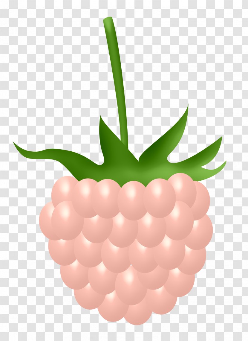 Frutti Di Bosco Red Raspberry Icon - Produce Transparent PNG