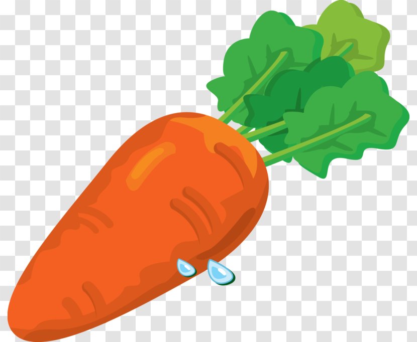 Carrot Vegetable Desktop Wallpaper Clip Art - Food Group - Carrots Transparent PNG