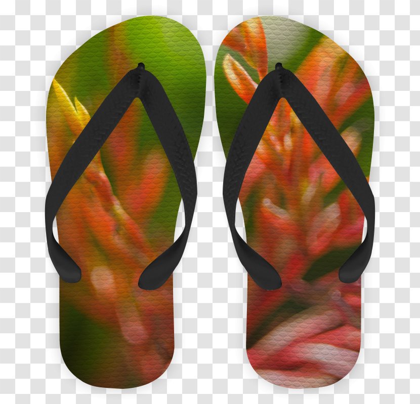 Flip-flops Shoe Leaf - Peacocks Transparent PNG