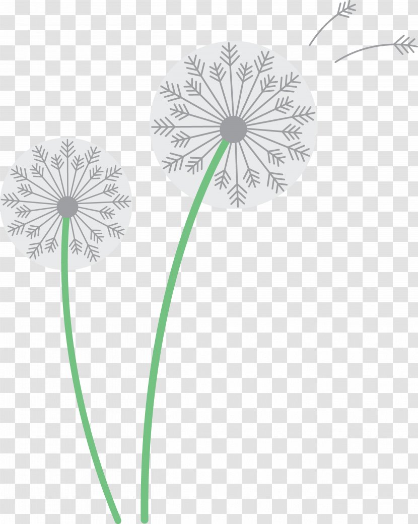 Common Dandelion Drawing Clip Art - Seeds Transparent PNG
