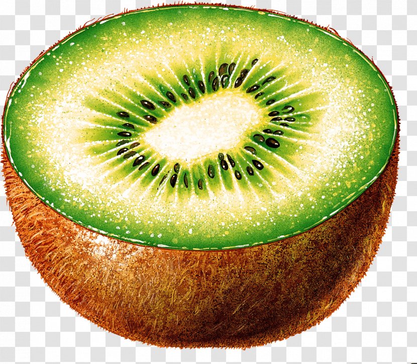 Kiwifruit Clip Art - Stock Photography - Kiwi Image Fruit Pictures Download Transparent PNG