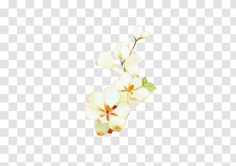 Flower Floral Design Petal - Art Antique White Transparent PNG