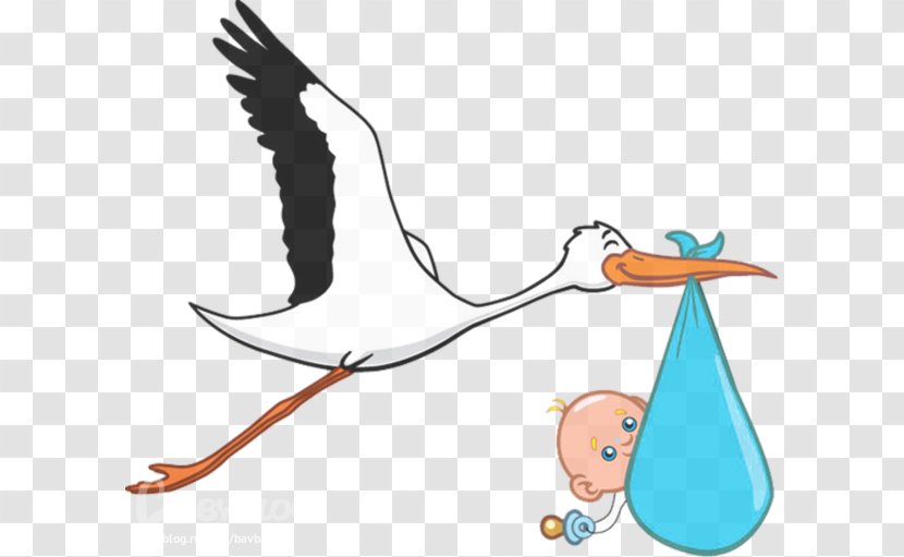 Paris Bird Infant Ciconia Pregnancy - Beak - Hand Painted Baby Storks Transparent PNG