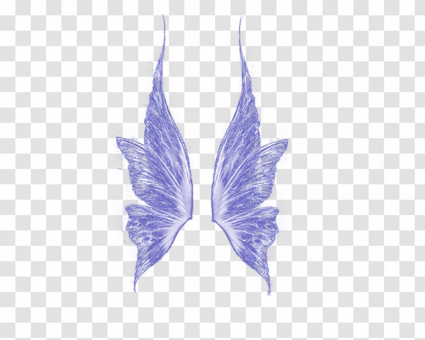 Fairy Elf Computer File - Plant - Flower Wings Transparent PNG