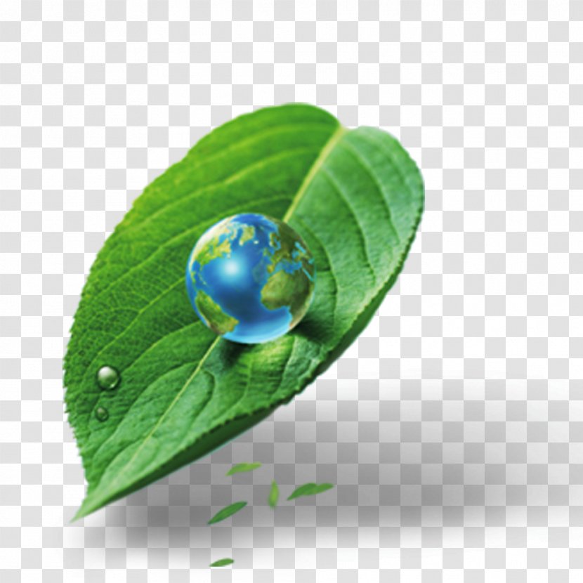 Video Projector Computer Electric Light Bidorbuy - Green - Leaves Earth Transparent PNG