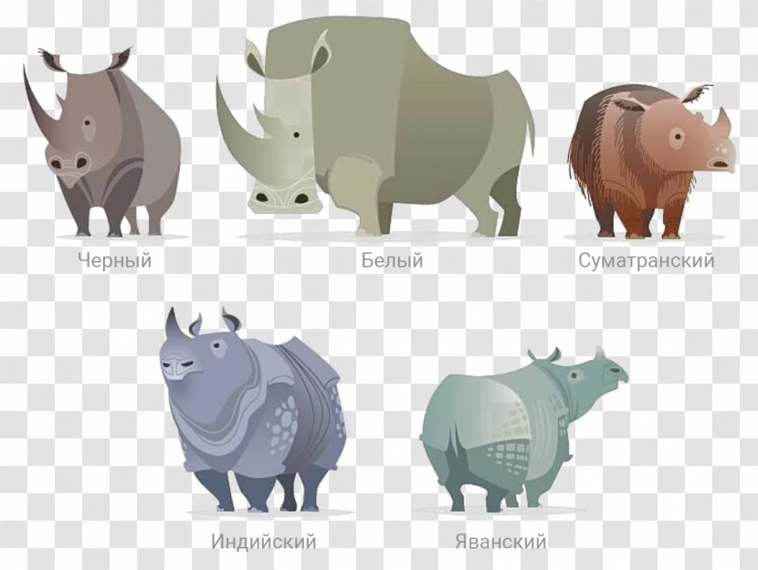 Javan Rhinoceros Indian Western Black Save The Rhino Horn - Endangered Species Transparent PNG