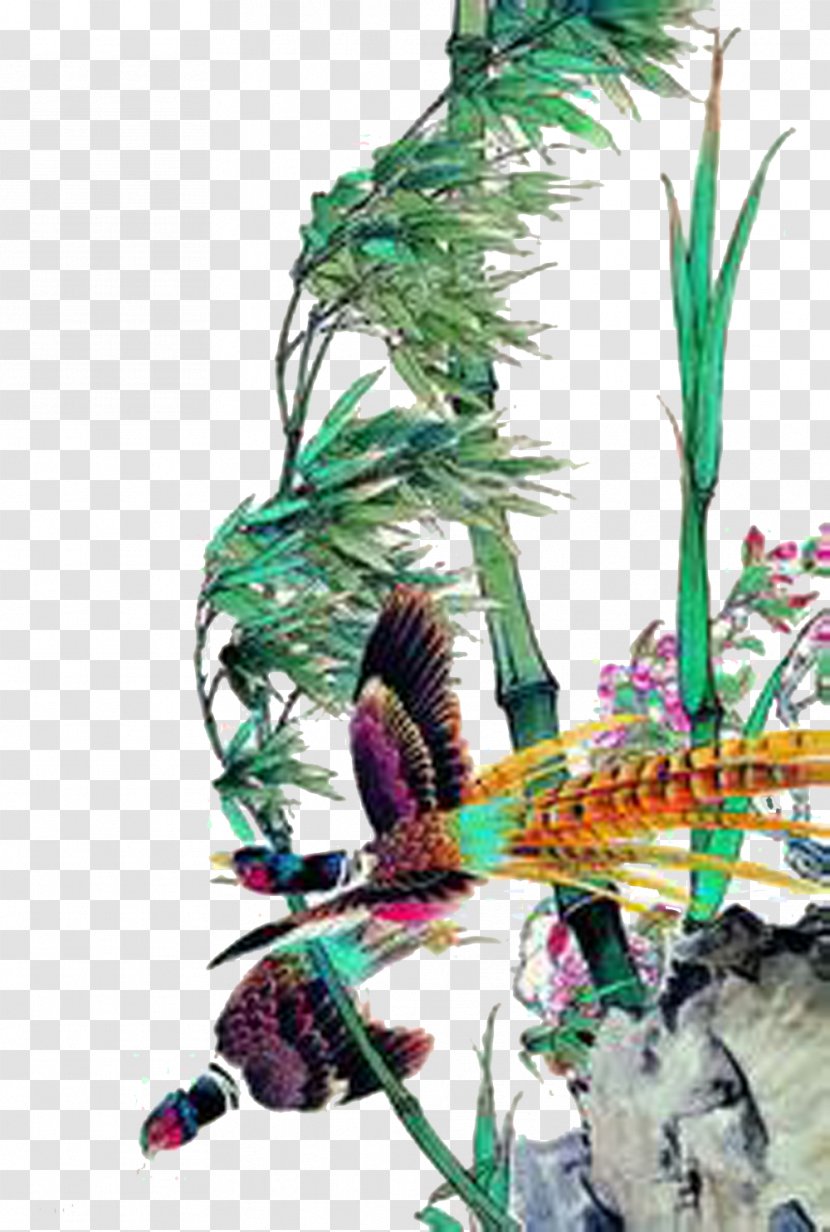 Graphic Design Google Images Illustration - Bamboo Phoenix Transparent PNG