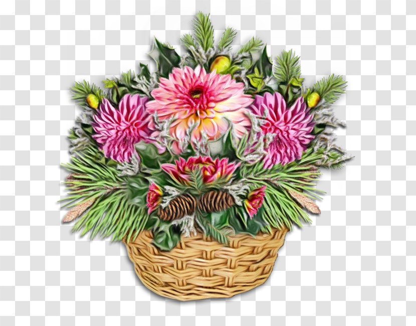 Christmas Gift Cartoon - Floristry - Protea Family Transparent PNG