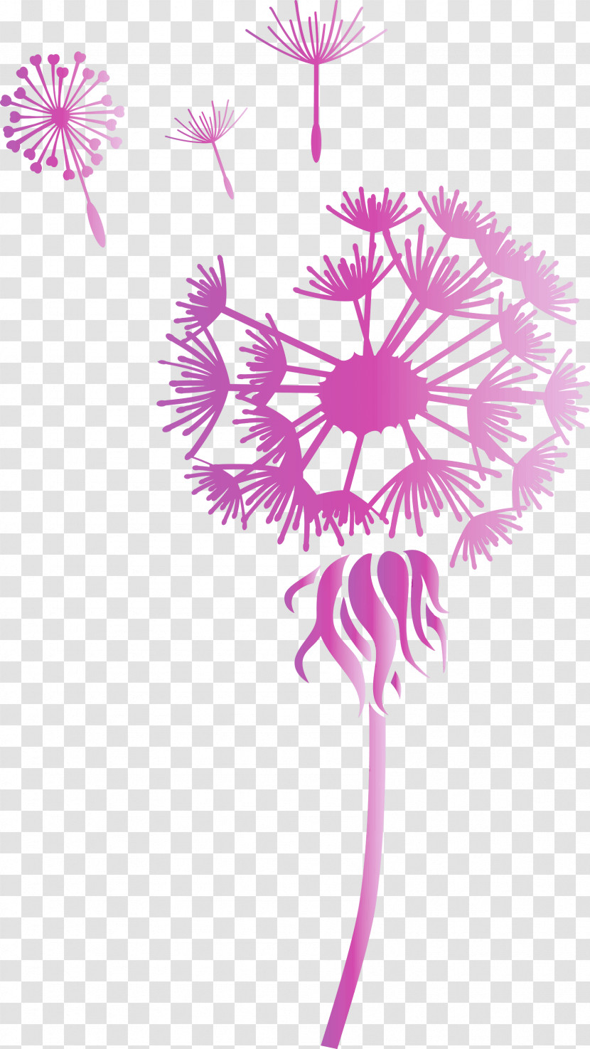 Dandelion Transparent PNG