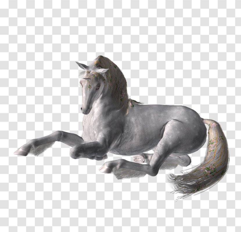Mustang Stallion Mane Freikörperkultur Legendary Creature - Horse Like Mammal Transparent PNG