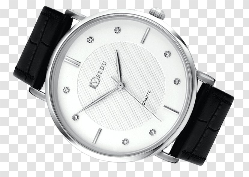 Watch Strap Lorus Casio - Timex Group Usa Inc Transparent PNG