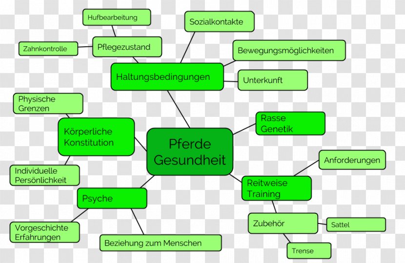 Horse Trainer Mind Map Organization Diagram - Homo Sapiens - Mental Transparent PNG