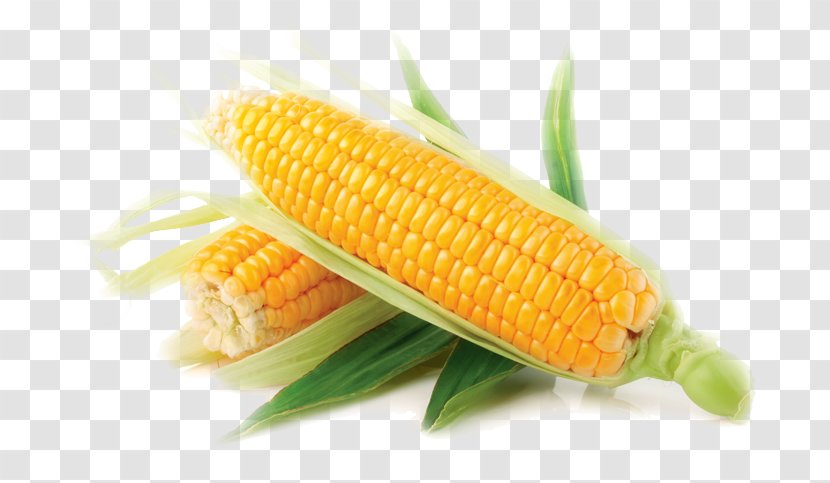 Corn On The Cob Sweet Maize Vegetable Kernel - Vegetarian Cuisine Transparent PNG