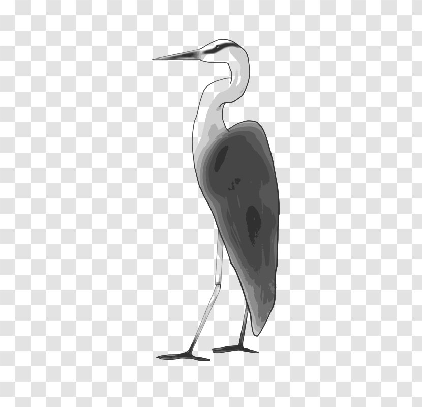 Crane Public Domain Egret Water Bird Clip Art - Black And White Transparent PNG