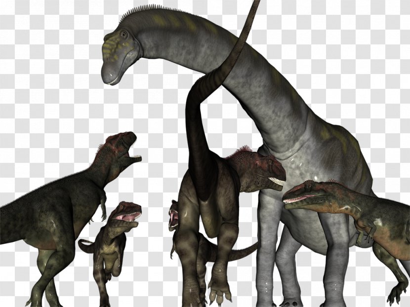 Velociraptor Carcharodontosaurus Tyrannosaurus Mapusaurus Spinosaurus - Dinosaur Transparent PNG