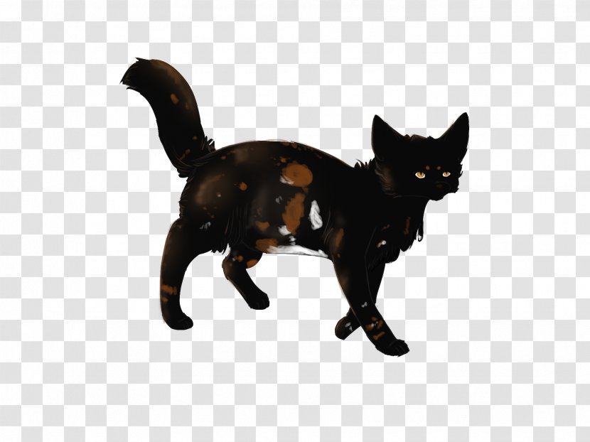 Black Cat Kitten Whiskers Domestic Short-haired - Dog Like Mammal Transparent PNG
