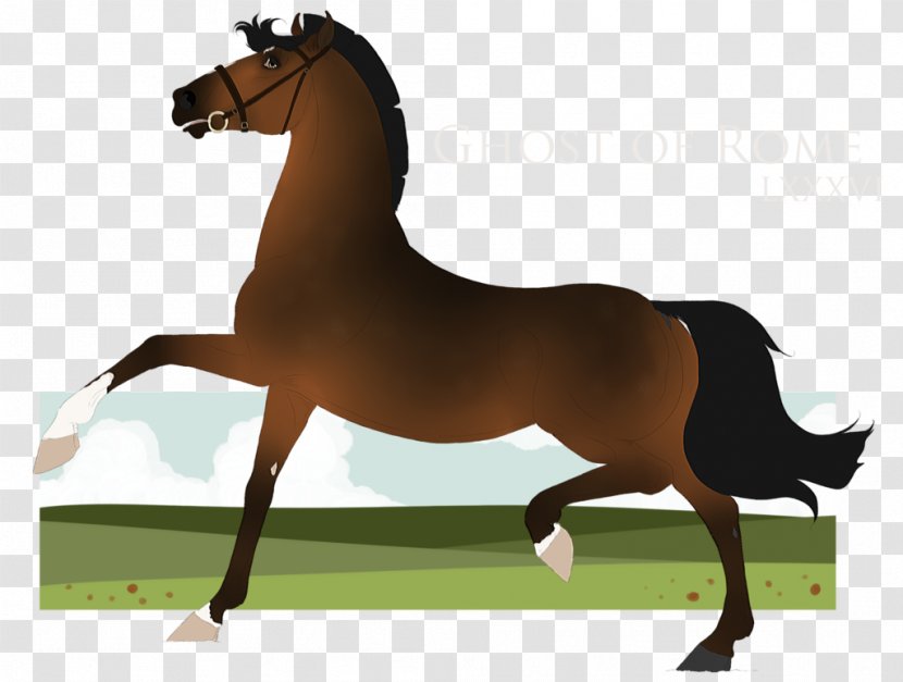 Stallion Mustang Foal Mare English Riding - Horse Transparent PNG