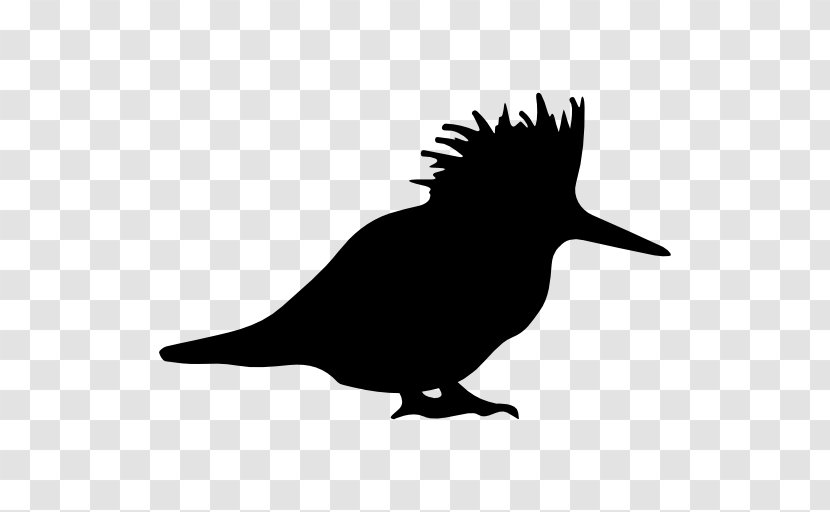 Bird Silhouette Clip Art - Photography Transparent PNG