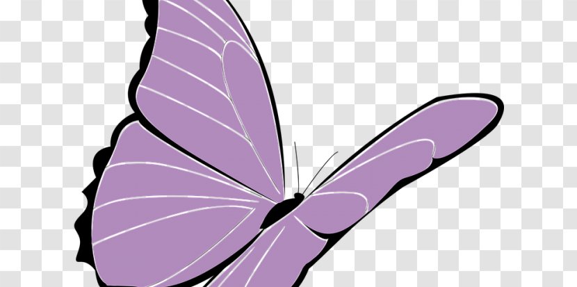 Clip Art Vector Graphics Openclipart Free Content Brush-footed Butterflies - Leaf - Purple Transparent PNG