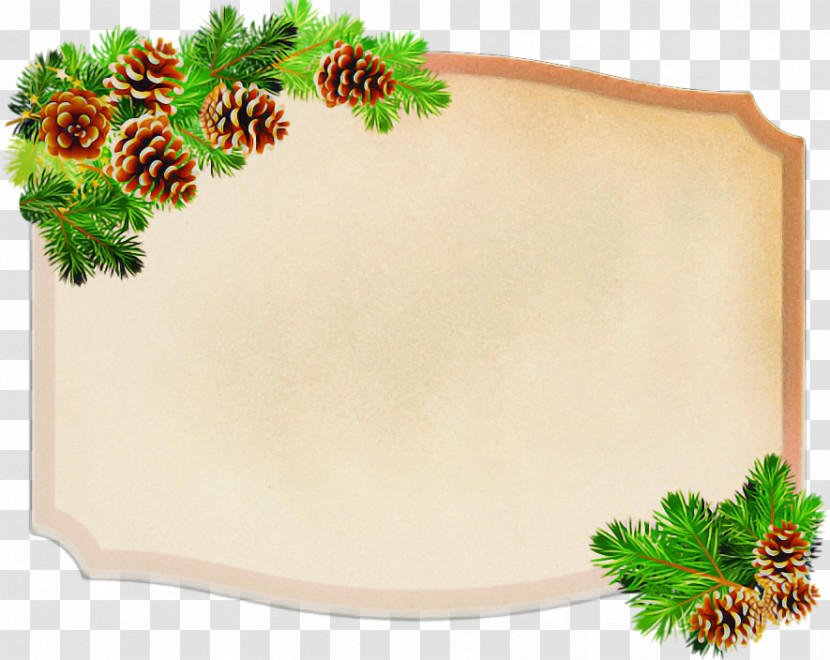 Holly Transparent PNG