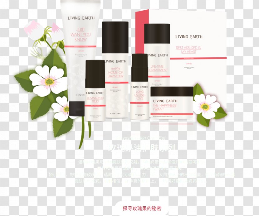 Perfume Brand - Flower Transparent PNG