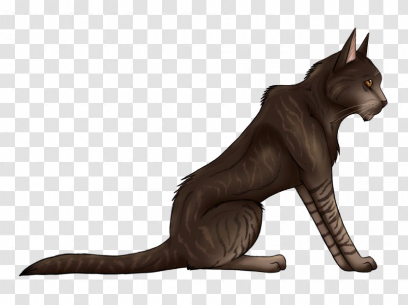 Warriors Whiskers Mousefur Erin Hunter Brambleclaw - Tigerstar - Domestic Short Haired Cat Transparent PNG