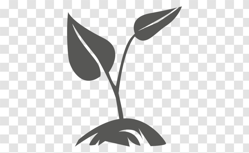 Plant - Petal - Grows Transparent PNG