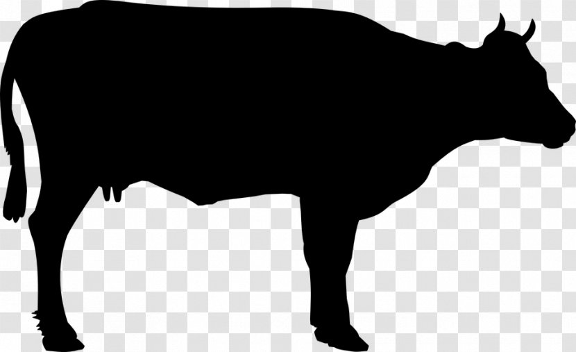 Cattle Calf Clip Art - Bull - Grazing Goats Transparent PNG