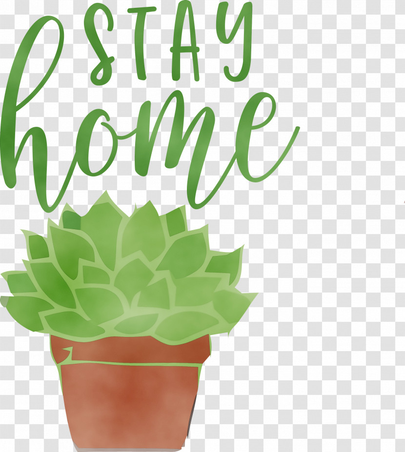 Leaf Leaf Vegetable Flowerpot Herb Meter Transparent PNG