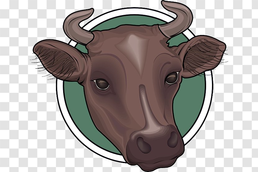 Bovine Cartoon Bull Snout Working Animal - Livestock - Horn Transparent PNG