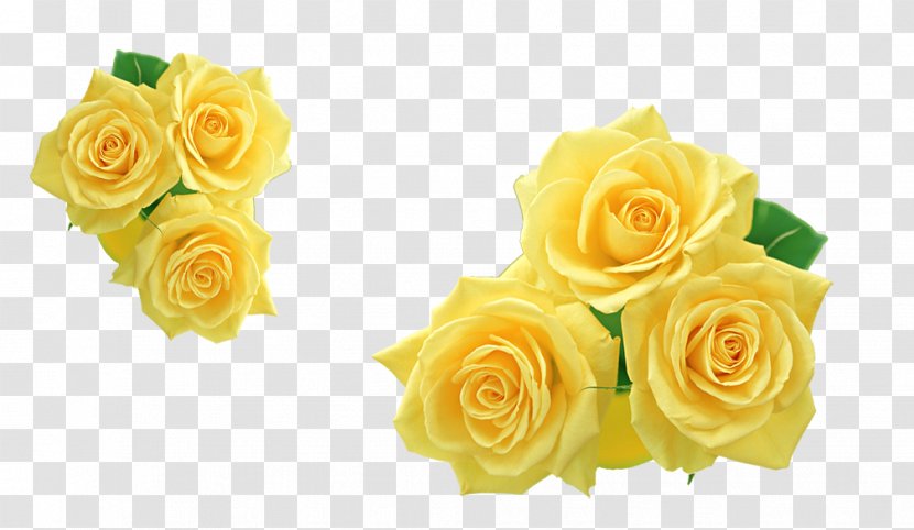 Rose Yellow Flower Clip Art Transparent PNG