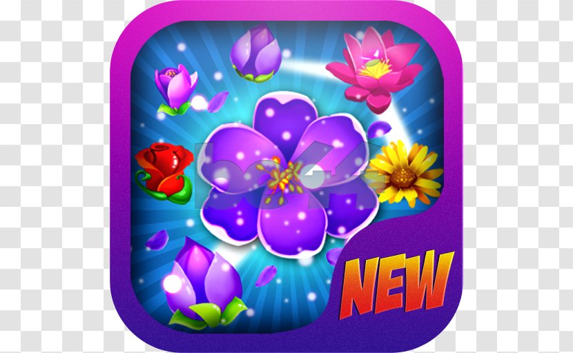 Violet Balloon Family Violaceae - Flower Transparent PNG