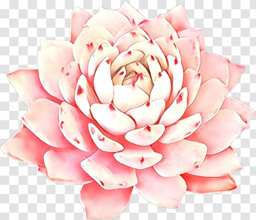 Artificial Flower - Cartoon - Rose Peach Transparent PNG