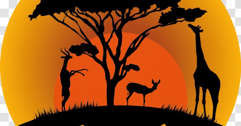 Tarangire National Park Serengeti Silhouette Safari Graphics - Painting Transparent PNG