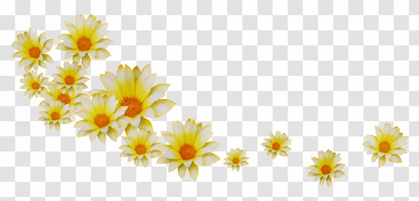 Petal Flower Chrysanthemum Clip Art Desktop Wallpaper - Daisy - Chamomile Transparent PNG