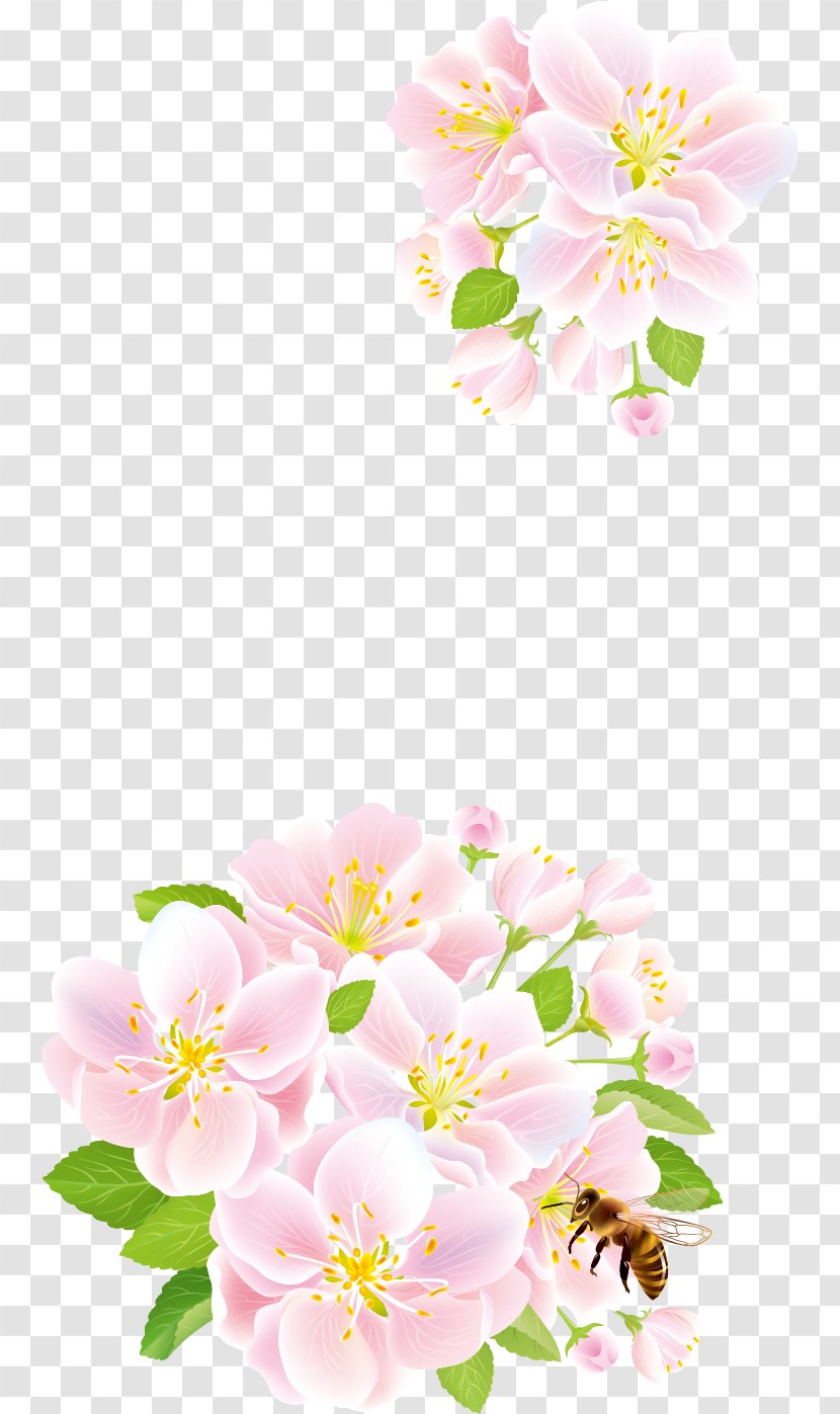Flower Rose Clip Art - Blossom - Pink Plum Snow Creative Transparent PNG