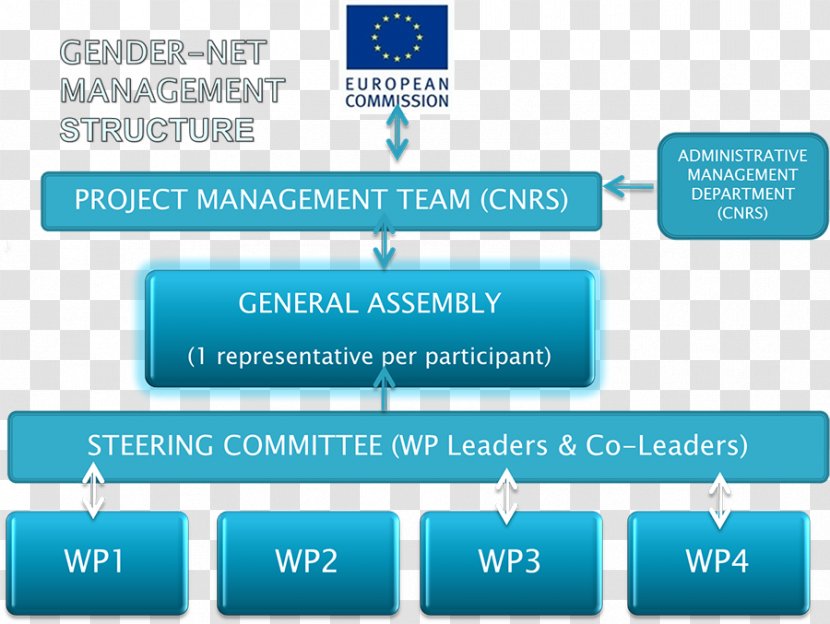 Decision-making Project Management Structure Organization - Decisionmaking - New European Community And Institut Transparent PNG