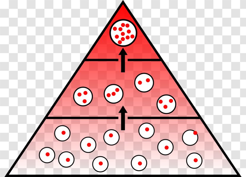 Bioaccumulation DDT Heavy Metals Bioconcentration Organism - Strontium - Respiratory System Blank Diagram Transparent PNG