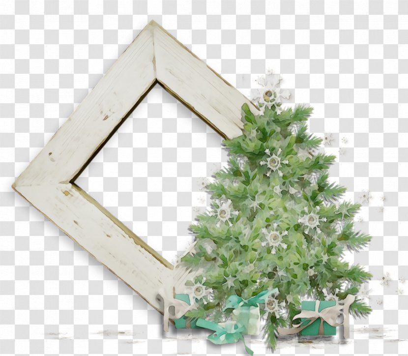 Christmas Tree - Fir - Pine Ivy Transparent PNG