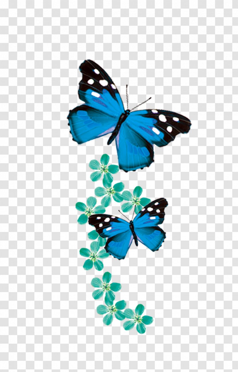 Monarch Butterfly Blue - Moths And Butterflies Transparent PNG