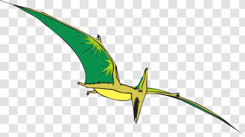 Pterodactyls Pterosaurs Dinosaur Pteranodon Clip Art - Wing - Vector Transparent PNG