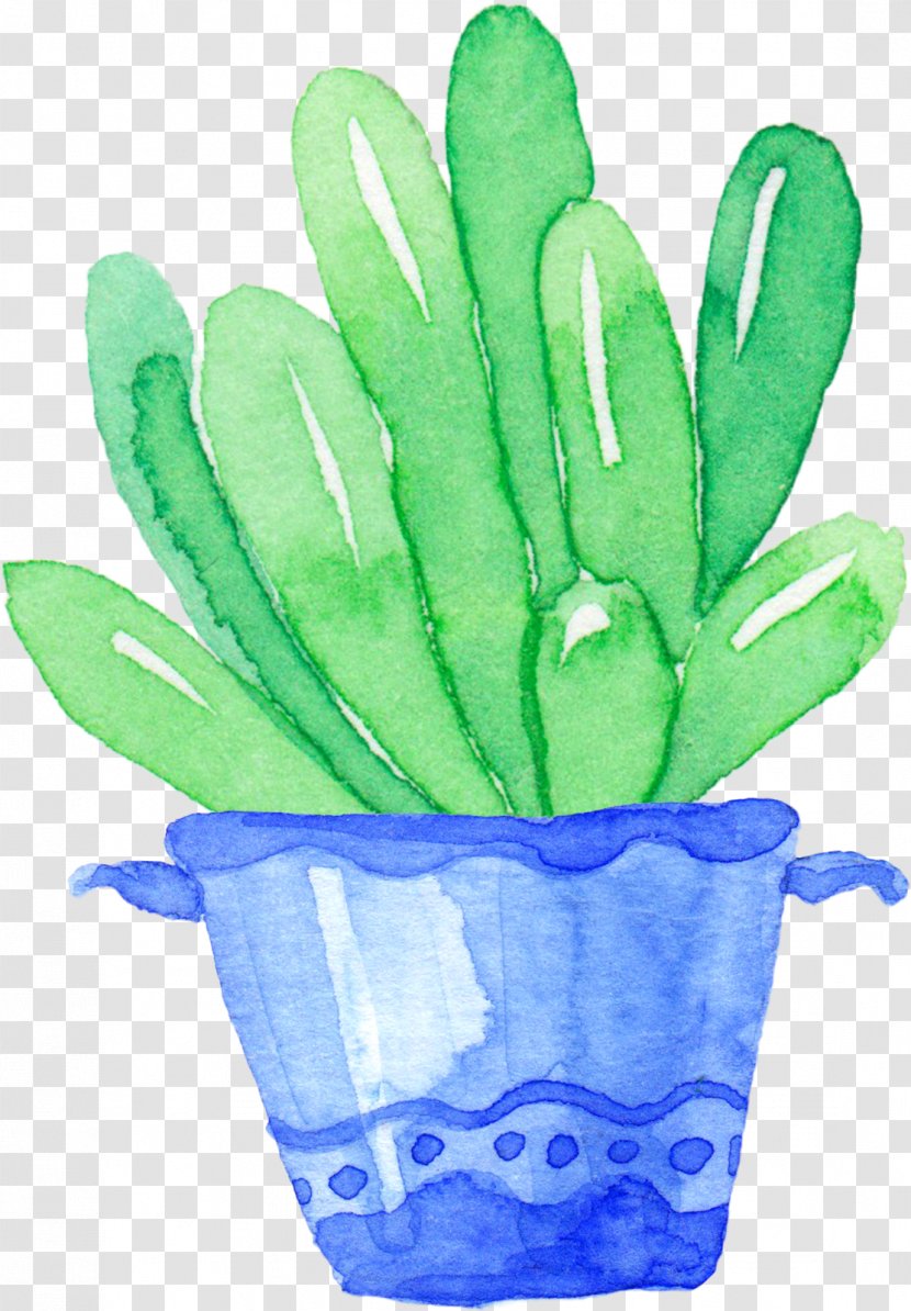 Cactaceae Succulent Plant - Flowerpot - Fresh Hand-painted More Meat Plants Transparent PNG