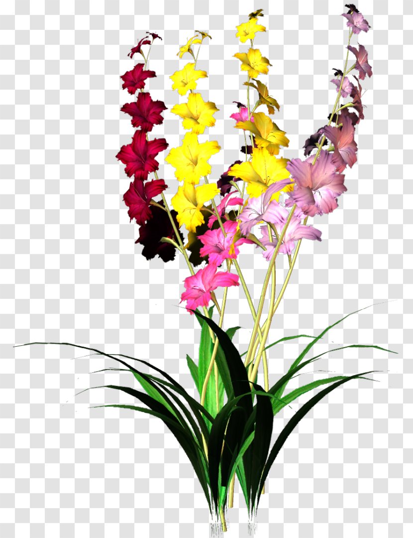 Landscape Painting Floral Design - Orchid - Gladiolus Transparent PNG