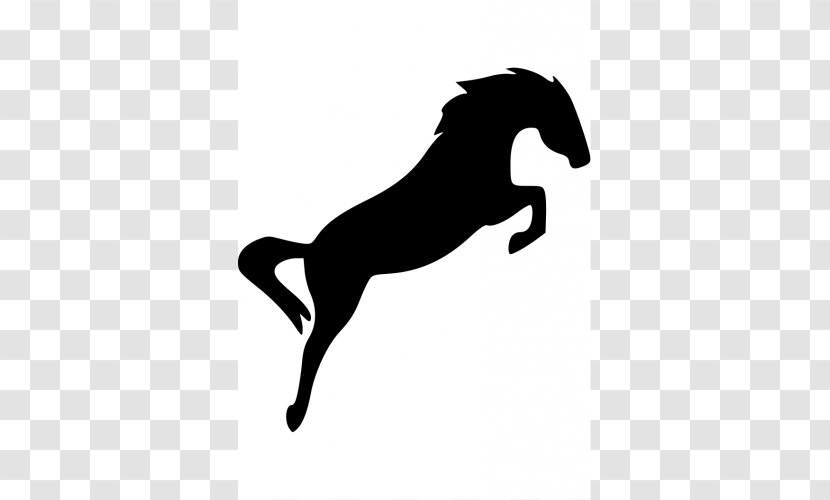 Horse Equestrian Show Jumping Silhouette - Centre Transparent PNG